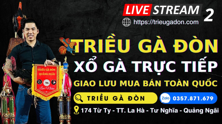 Video 18h15 ngày 23/1 – TRIỀU GÀ ĐÒN QUẢNG NGÃI – Sới 2